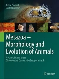 Produktbild: Metazoa - Morphology and Evolution of Animals
