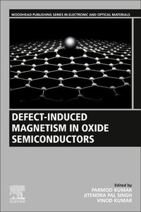Produktbild: Defect-Induced Magnetism in Oxide Semiconductors
