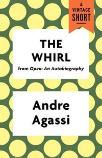 Produktbild: The Whirl