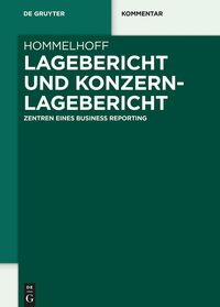 Produktbild: Lagebericht und Konzernlagebericht