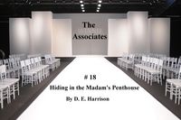 Produktbild: #18 Hiding in the Madam's penthouse