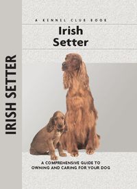 Produktbild: Irish Setter