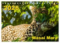 Produktbild: Masai Mara 2026 (Tischkalender 2026 DIN A5 quer), CALVENDO Monatskalender