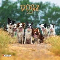 Produktbild: Dogs 2027