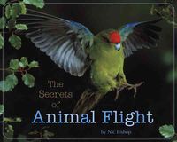 Produktbild: The Secrets of Animal Flight