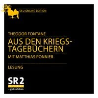 Bild vom Artikel Aus den Kriegstagebüchern vom Autor Theodor Fontane
