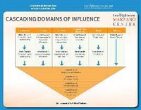 Produktbild: Cascading Domains of Influence