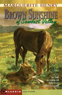 Produktbild: Brown Sunshine of Sawdust Valley