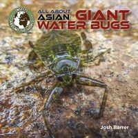 Produktbild: All about Asian Giant Water Bugs