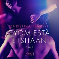 Produktbild: Ty&ouml;miest&auml; etsit&auml;&auml;n Osa 2 - eroottinen novelli