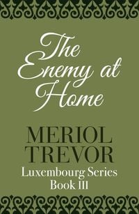Produktbild: The Enemy At Home