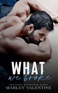 Produktbild: What We Broke