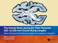 Produktbild: The Human Brain during the Third Trimester 225- to 235-mm Crown-Rump Lengths