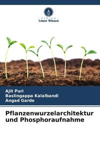 Produktbild: Pflanzenwurzelarchitektur und Phosphoraufnahme