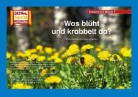 Produktbild: Was bl&uuml;ht und krabbelt da? / Kamishibai Bildkarten