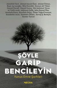Produktbild: S&ouml;yle Garip Bencileyin