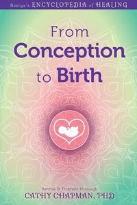 Produktbild: From Conception to Birth