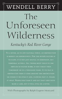 Produktbild: The Unforeseen Wilderness