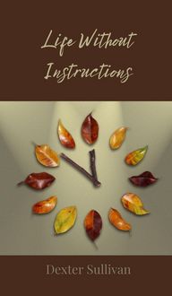 Produktbild: Life Without Instructions