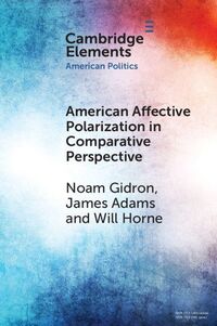 Produktbild: American Affective Polarization in Comparative Perspective
