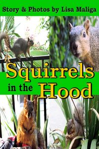Produktbild: Squirrels in the Hood