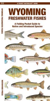 Produktbild: Wyoming Freshwater Fishes