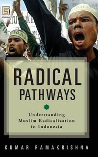 Produktbild: Radical Pathways