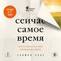 Produktbild: Seychas samoe vremya. Chemu ya nauchilsya u svoey sobstvennoy smerti