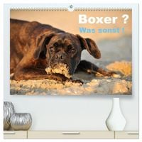Produktbild: Boxer ? Was sonst ! (hochwertiger Premium Wandkalender 2026 DIN A2 quer), Kunstdruck in Hochglanz