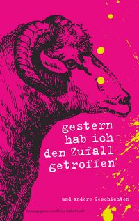 Produktbild: Gestern hab ich den Zufall getroffen
