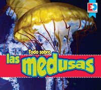 Produktbild: Todo Sobre Las Medusas