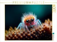 Produktbild: CALVENDO Puzzle Spinne mit langen Wimpern - Lustige Mikroorganismen | 2000 Teile Lege-Gr&ouml;&szlig;e 90x67cm Foto-Puzzle f&uuml;r gl&uuml;ckliche Stunden