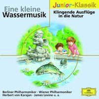 Produktbild: Eine kleine Wassermusik