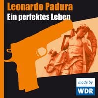 Produktbild: Ein perfektes Leben