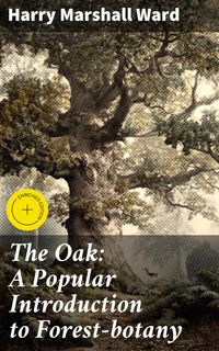Produktbild: The Oak: A Popular Introduction to Forest-botany