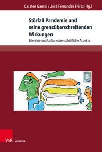 Produktbild: St&ouml;rfall Pandemie und seine grenz&uuml;berschreitenden Wirkungen