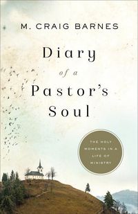 Produktbild: Diary of a Pastor's Soul