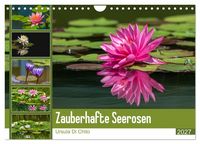 Produktbild: Zauberhafte Seerosen (Wandkalender 2027 DIN A4 quer), CALVENDO Monatskalender