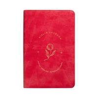 Produktbild: B&iacute;blia Sagrada letra grande: Capa luxo rosada, Leitura Perfeita: Nova Vers&atilde;o Internacional