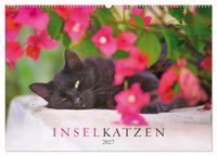 Produktbild: Inselkatzen (Wandkalender 2027 DIN A2 quer), CALVENDO Monatskalender