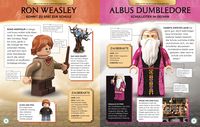 LEGO® Harry Potter Lexikon der Minifiguren