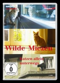 Bild vom Artikel Wilde Miezen - Katzen allein unterwegs vom Autor 