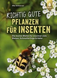 Produktbild: Richtig gute Pflanzen f&uuml;r Insekten