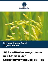 Produktbild: Stickstofffreisetzungsmuster und Effizienz der Stickstoffverwendung bei Reis