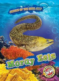 Produktbild: Moray Eels