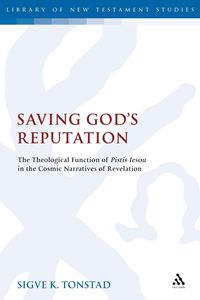 Produktbild: Saving God's Reputation