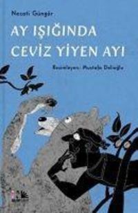Produktbild: Ay Isiginda Ceviz Yiyen Ayi