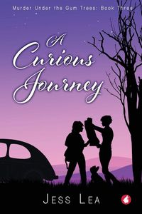 Produktbild: A Curious Journey