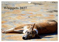 Produktbild: Whippet 2027 (Wandkalender 2027 DIN A4 quer), CALVENDO Monatskalender