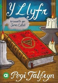 Produktbild: Cyfres Amdani: Y Llyfr